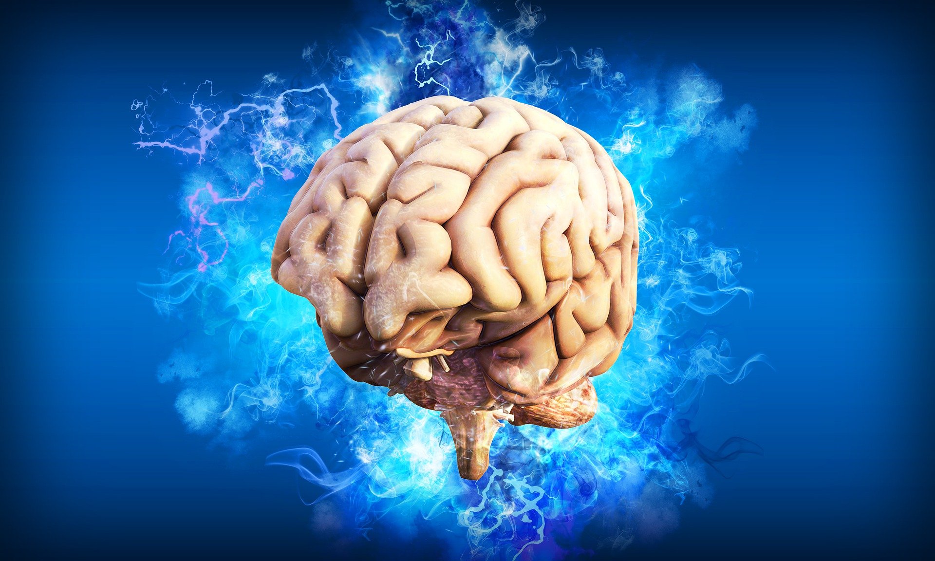 brain-4314636_1920